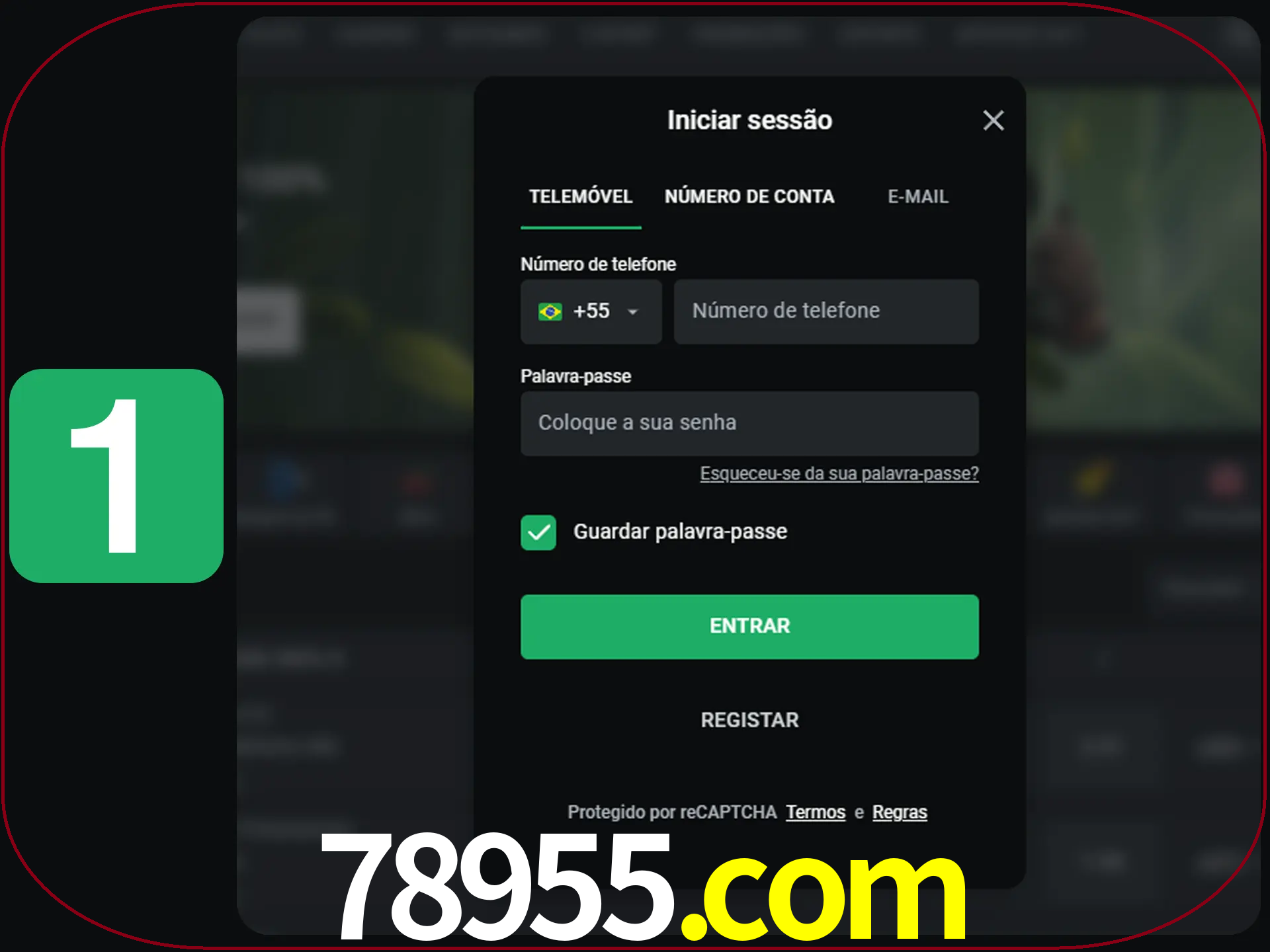 Clique no botão Entrar.